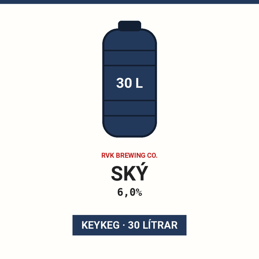 SKÝ 6,0% - (KeyKeg 30L)